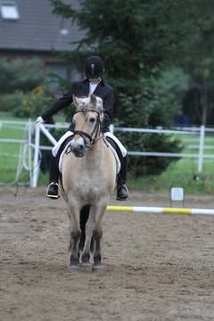 Bild 428 - WBO-Turnier am 18.9.11